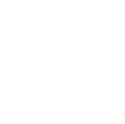 Black Rock Security GmbH